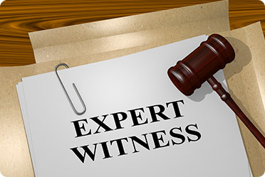 Simple logo of expert witness law firm and a gavel - Leckerman Law, LLC