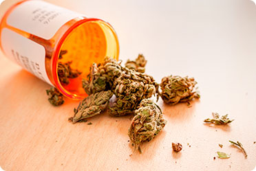 Marijuana and prescription drugs - Leckerman Law, LLC