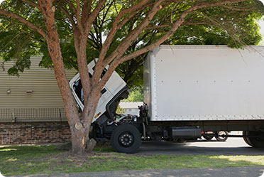 A white truck stucked with a tree - Leckerman Law, LLC